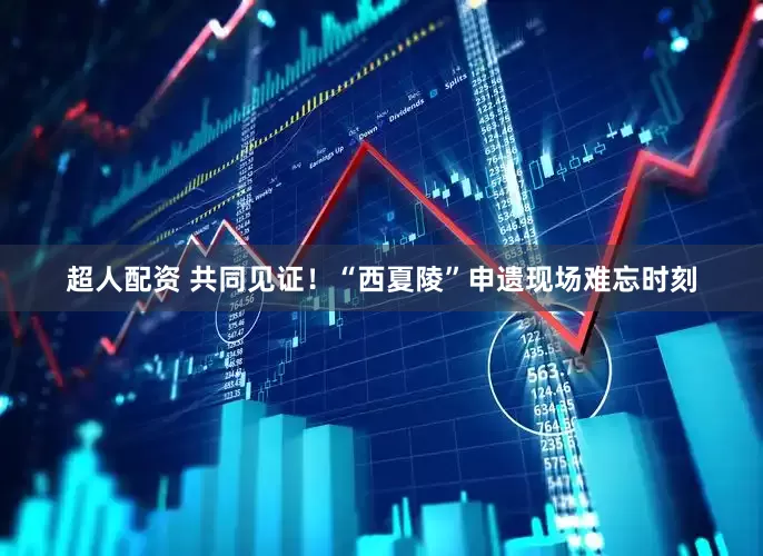 超人配资 共同见证！“西夏陵”申遗现场难忘时刻