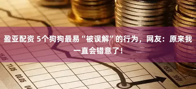 盈亚配资 5个狗狗最易“被误解”的行为，网友：原来我一直会错意了！