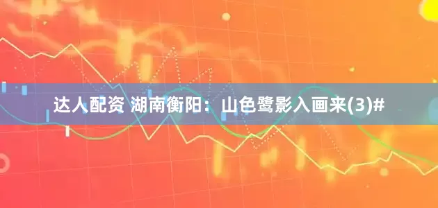 达人配资 湖南衡阳：山色鹭影入画来(3)#